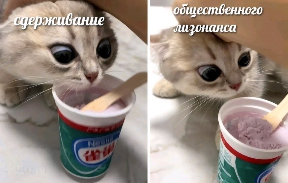 �������. - 3 ����� 2026 � 21:52