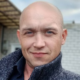 ������, ��������, 41 ���