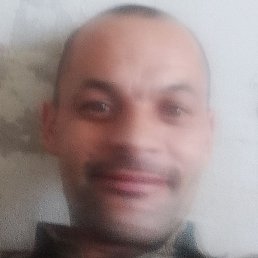 ���� �����, ������, 43 ����