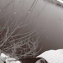 ���� ����, ������, 35 ��� - ��������� 11 ������ 2025 � ������ ���� ����������