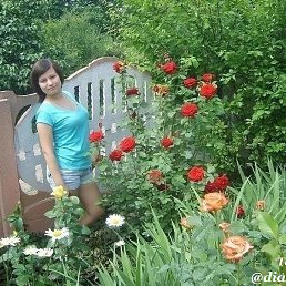 �����, ������, 20 ���