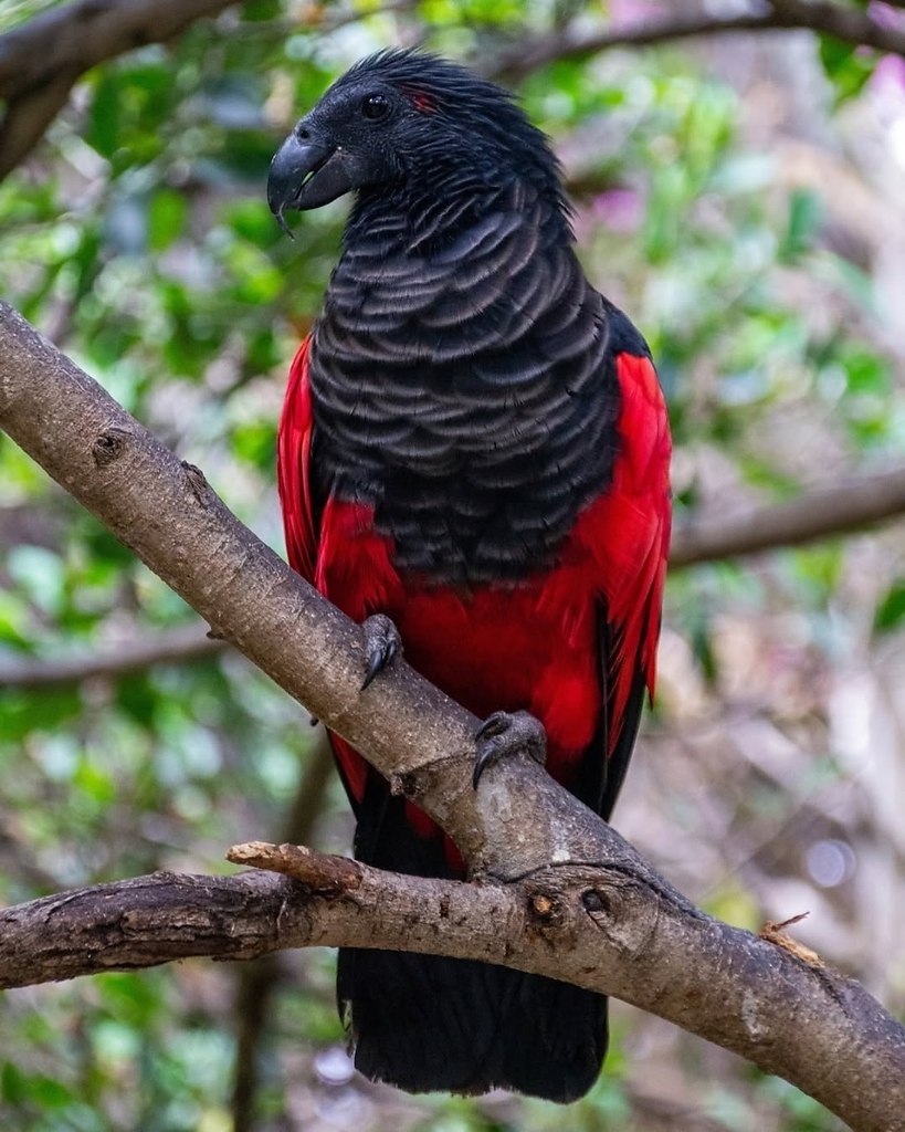 - -       .     .  ... - 6