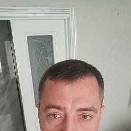 �����, 41 ���, ���������