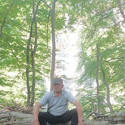 �����, ���������, 41 ���