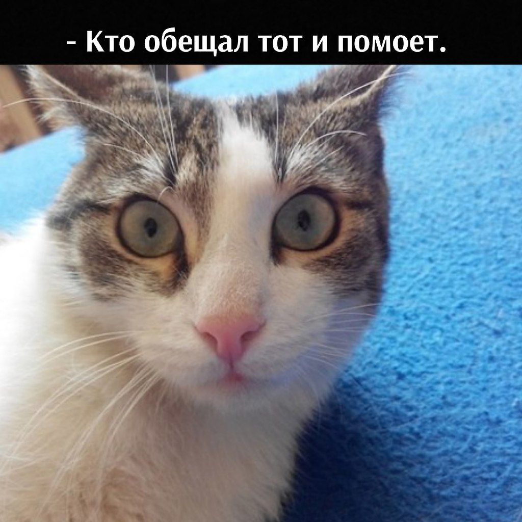 ��� ���� � ����� �� �� - 13 ����� 2026 � 17:30 - 2