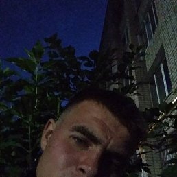 , , 29 