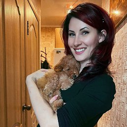 ����, ��������