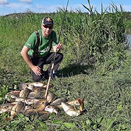 ������, �����������, 55 ���