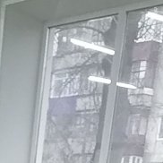 ����, 39 ���, ������