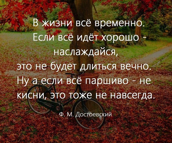 ������������ �� �������... - 25 ������� 2025 � 23:32