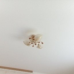 ������, ����, 49 ���