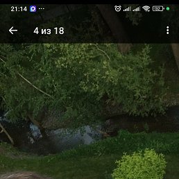 ���� �������, �����������, 49 ��� - ��������� 3 ������ 2026