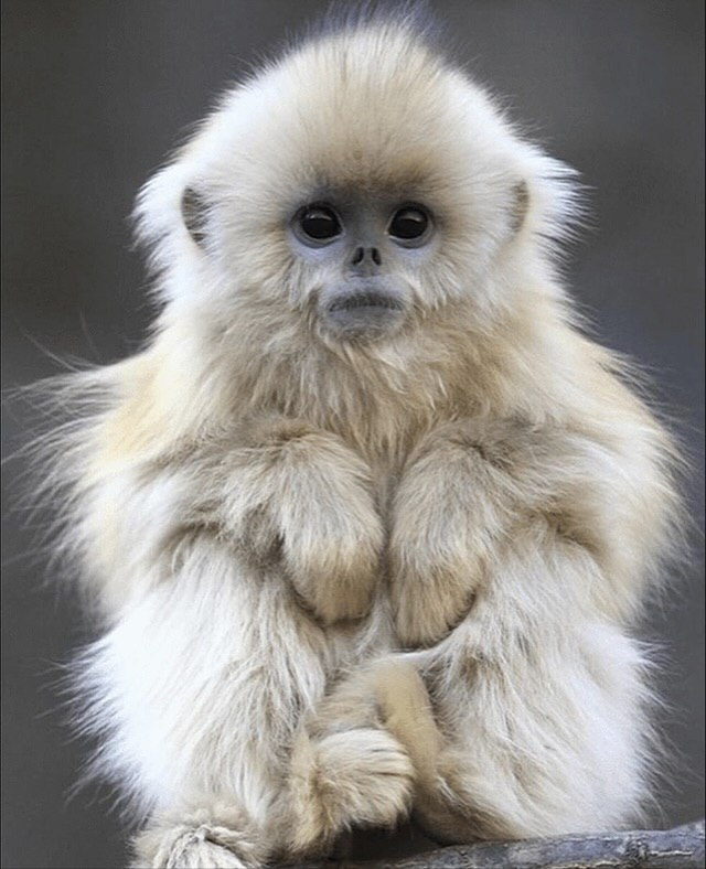 ���������� ������ � ����������� ����� �����, ���������� �������� �������� �������� ��� ����� ��� ... - 3