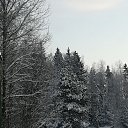 ���� ������, �����-���������, 59 ��� - ��������� 27 ������� 2023 � ������ ���� ����������