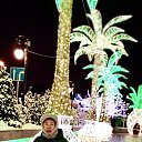 ���� ������ ��, ������, 61 ��� - ��������� 4 ����� 2025