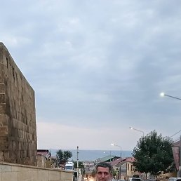 �����, ��������, 48 ���