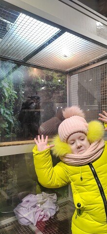 ���� ������, �����������, 41 ��� - ��������� 4 ������� 2024