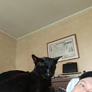 , 19 , -