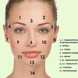 ������, ���������, 64 ����