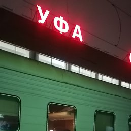 , 53, 