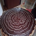 ���� ����, ���, 69 ��� - ��������� 4 ������� 2026 � ������ ���� ������ � ���������, �����
