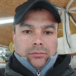 �����, ���������, 38 ���