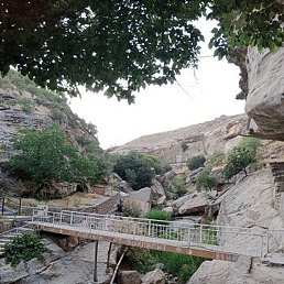 Muhammadyusuf, �������, 34 ����