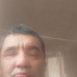 ����������, �����, 58 ���