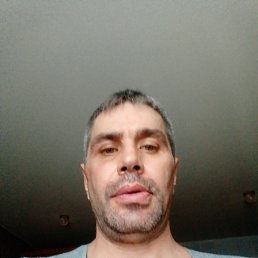 , 44, 