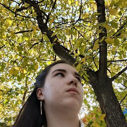 , 18, 