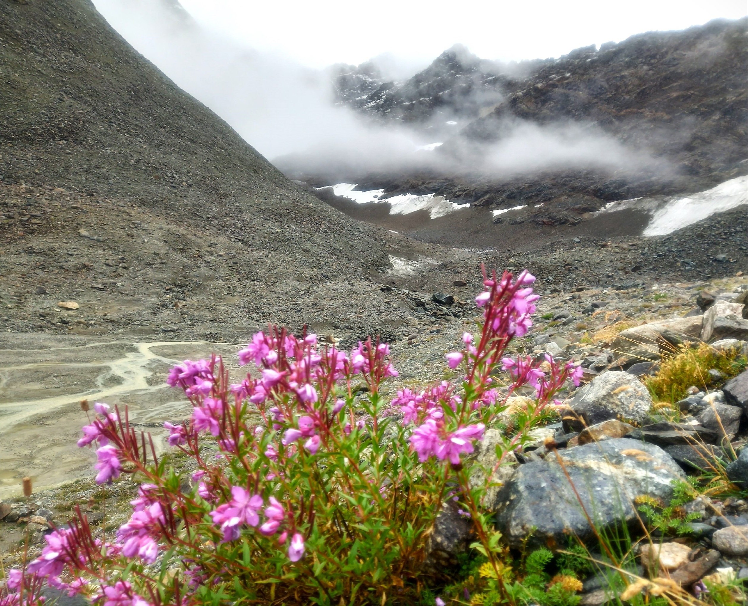 Makcu - 15  2025  19:18 - 5