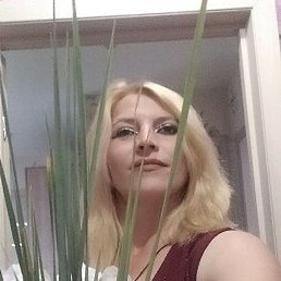 ����, ������, 33 ����