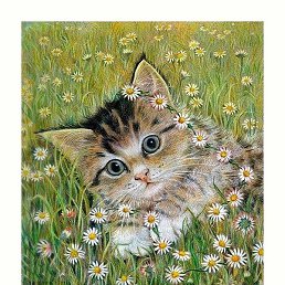 ���������, ������������, 47 ���