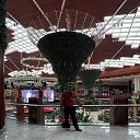 ���� �����, ������, 46 ��� - ��������� 16 �������� 2025 � ������ ������ ������ 2025�