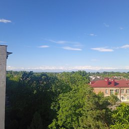 ���� Vova, ������, 37 ��� - ��������� 25 ���� 2026