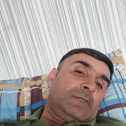 , 41, 
