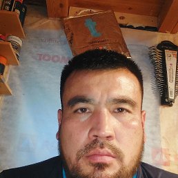 , 37, 