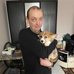 , 33, 