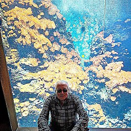 Vladimir, ���������