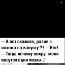 ���� ����, ����, 53 ���� - ��������� 11 ������ 2026 � ������ ���� ����������