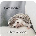 ���� �������, ��������, 51 ��� - ��������� 2 ������� 2025 � ������ ���� ����������