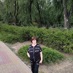 , 61, 