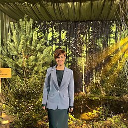 �����, �����������