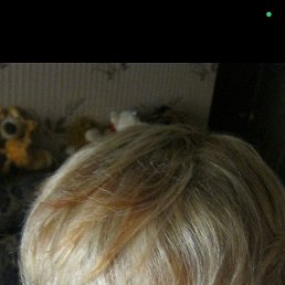 ����� ��������, �����-���������, 53 ����