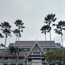 ���� �������, ������ - ��������� 8 ������ 2025