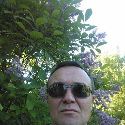 , 54, 