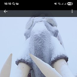 �����, ���������, 40 ���