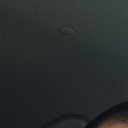 ����, ��������, 38 ���