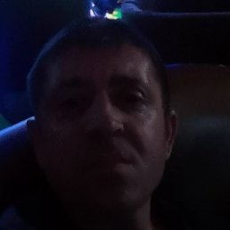 Sergey, �������, 41 ���