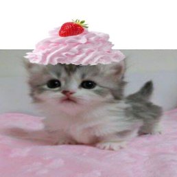 �����, �������, 25 ���